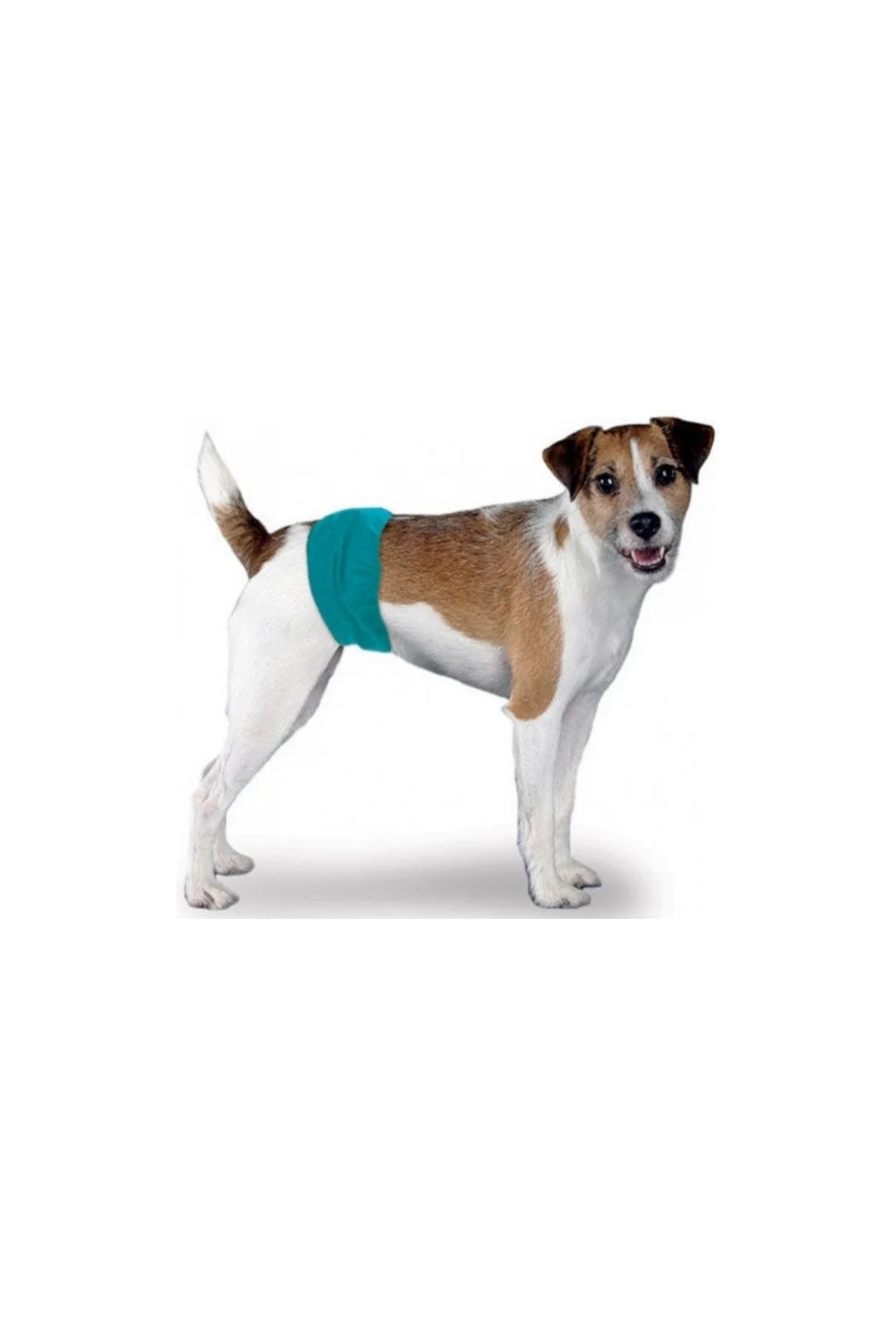 Simple Solutions Vaskbar Ble til Hanhunde