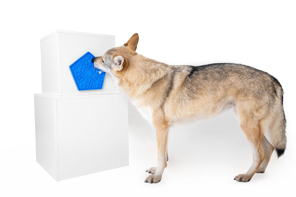 Kiwi Walker Lick Mat - Stor