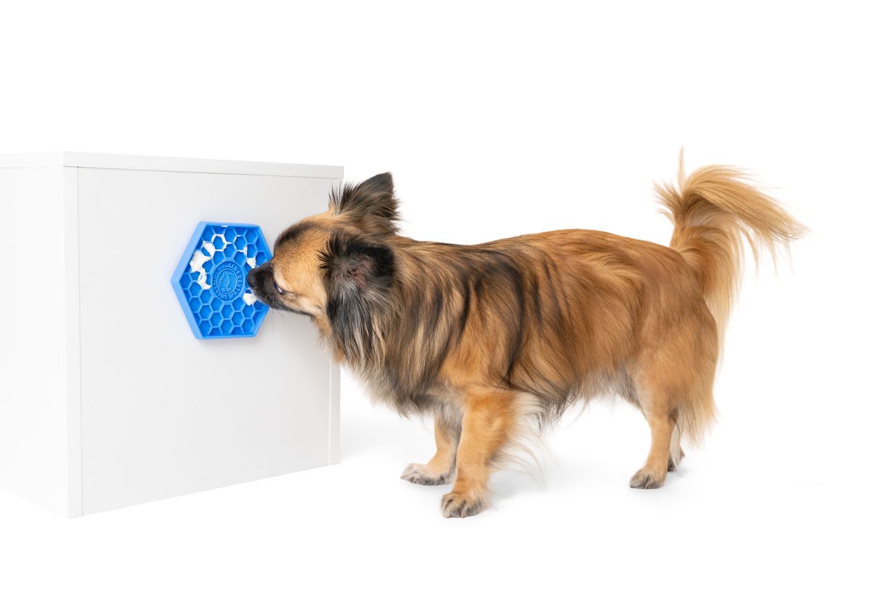 Kiwi Walker Lick Mat -  Mini