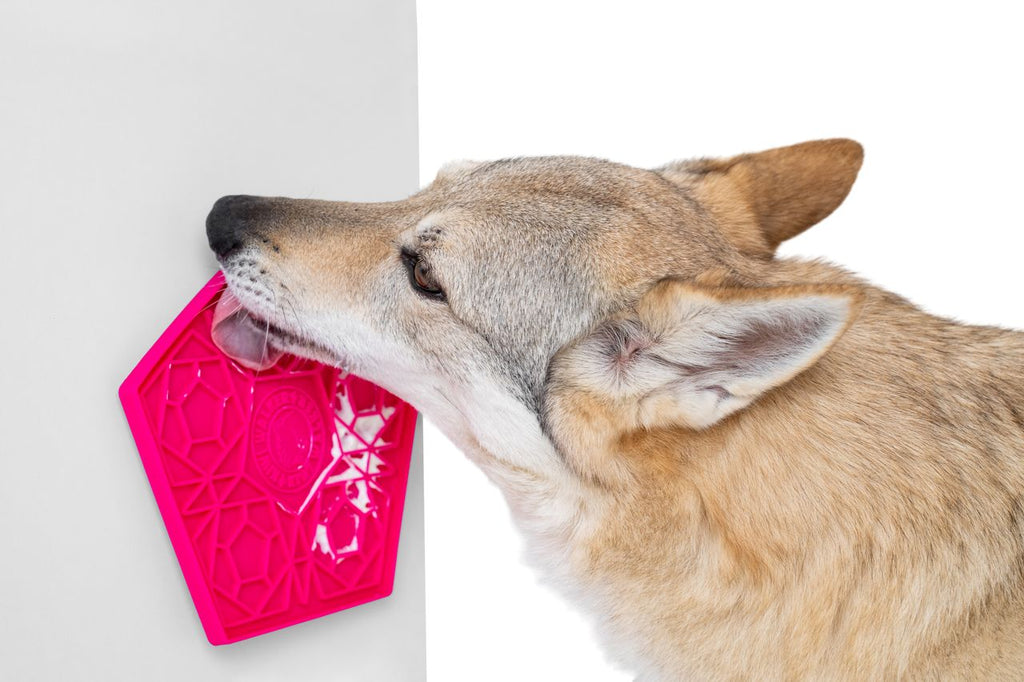 Kiwi Walker Lick Mat - Stor